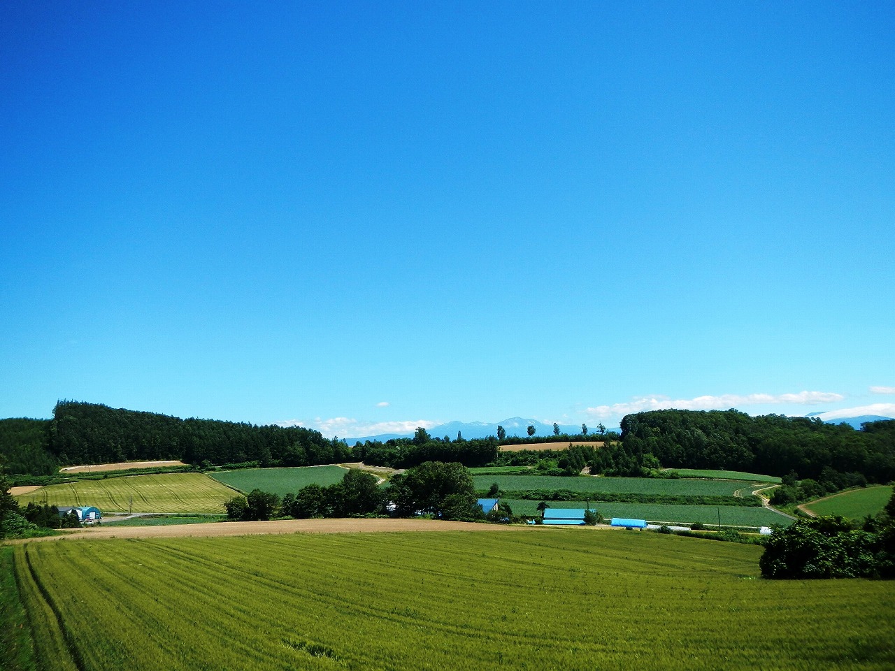 上富良野町・江幌